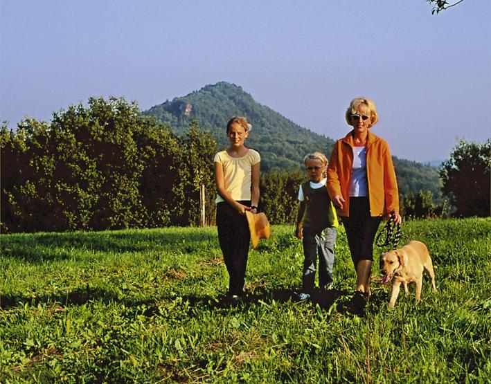 Zum Ochsen Hotel Hauenstein Kültér fotó