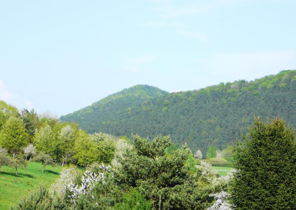 Zum Ochsen Hotel Hauenstein Kültér fotó